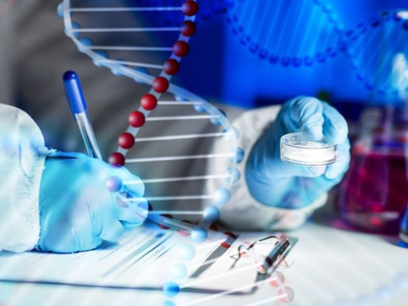 Các ứng dụng phổ biến của xét nghiệm ADN