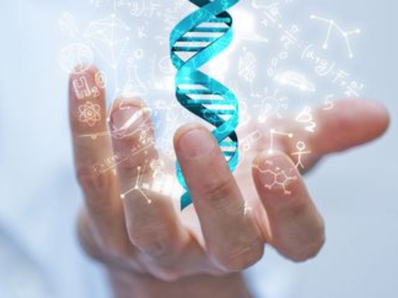 Giá xét nghiệm ADN tỉnh Kiên Giang