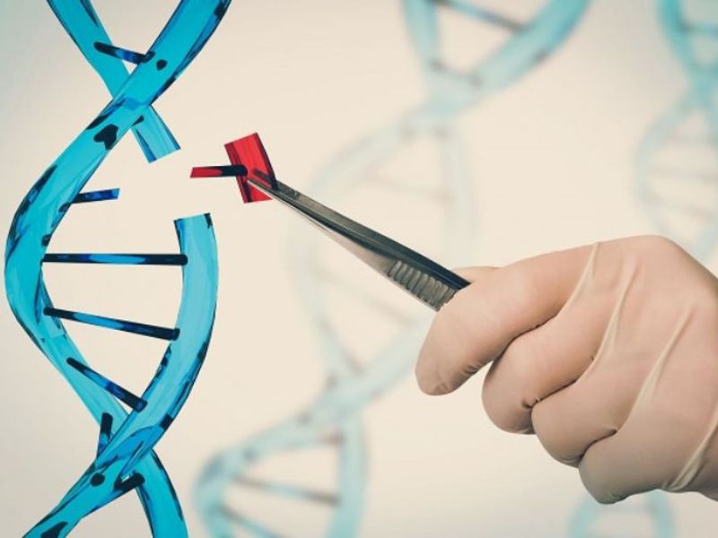 ADN là gì? Xét nghiệm ADN là gì?