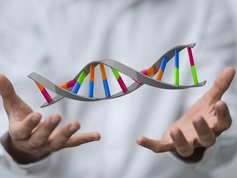 Giá xét nghiệm ADN tỉnh Vĩnh Long hết bao nhiêu và nên thực hiện ở đâu uy tín?'