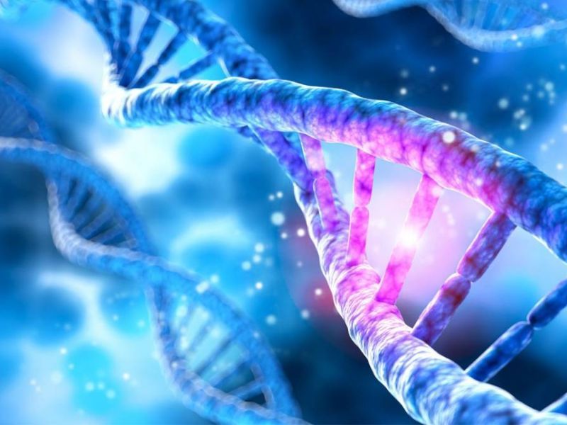 Các loại xét nghiệm ADN phổ biến nhất